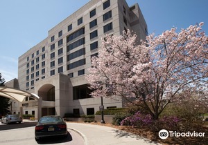 The Statler Hotel at Cornell University