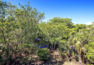 Gulf Pines Too | 4 Bed, 3 Bath