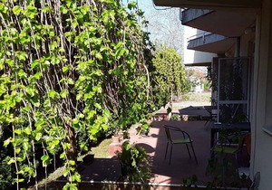 Holiday apartment csak 120 méterre a beach