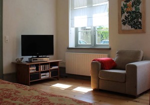 Luxurious Apartment in Steffenshagen with Fireplace