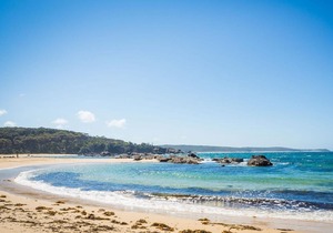 Cherrybush @ Mystery Bay