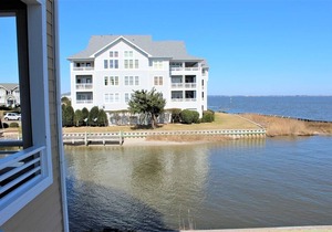 Pet Friendly at Pirate's Cove - Buccaneer Village 1114