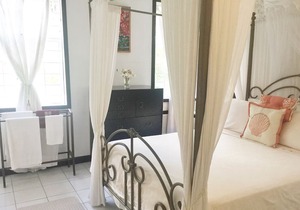 Luxurious Eco friendly, Vegetarian Suite in the Hummingbird Apartment