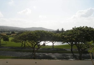 Luxury resort accommodations. Ocean view. You'll never wanna leave.