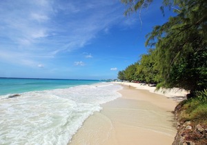 Oceanfront 1-bed Apt with Pool near Surfing - Rosalie #2