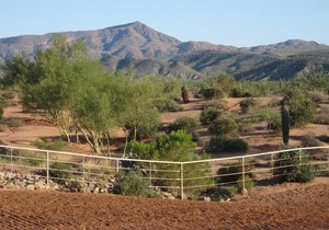 Self Isolate in the Heart of the Sonoran Desert 62 acre EcoRanch on Natl Forest