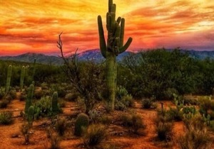Self Isolate in the Heart of the Sonoran Desert 62 acre EcoRanch on Natl Forest