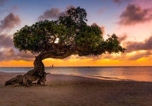 Best Sunset View Oceania