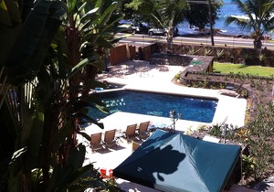 Come see the turtles at Gates Beach