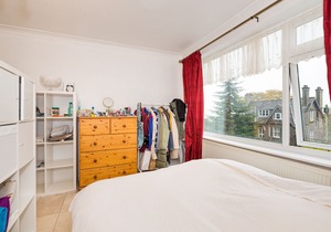 Spacious Bright Forest View Apartment