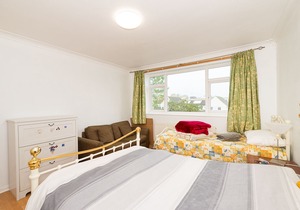 Spacious Bright Forest View Apartment
