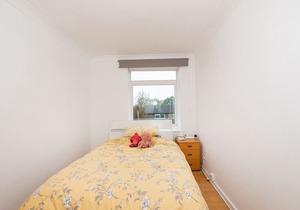 Spacious Bright Forest View Apartment