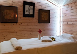 Fitness, swimming pool, sauna, hammam, terrace, balcony, parking, tv, ski locker, 38m²