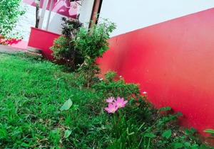 Golden Guest House Jaffna