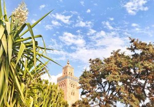 Riad Dar El Bacha