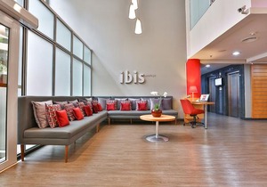 Ibis Maringa