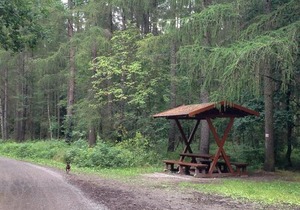 FeWo am Zwinger 2