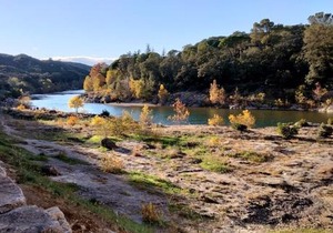 La Bastide des Pins