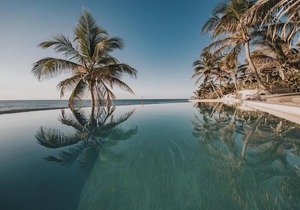 Papaya Playa Project