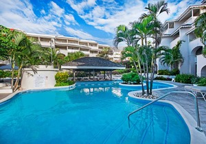 Bougainvillea Barbados