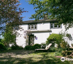 Willow Cottage B 