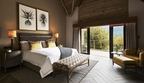 Premium Room