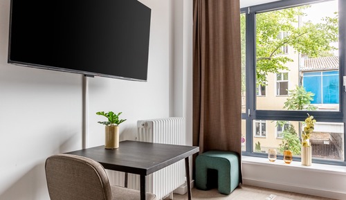 Economy Single Suite