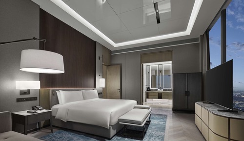 KING AMBASSADOR SUITE