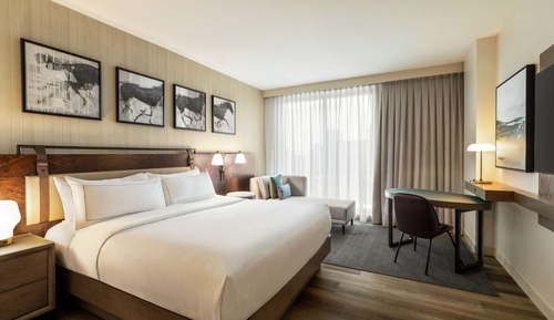 Room, 1 King Bed