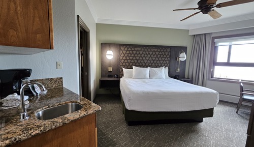 Basic Studio Suite, 1 King Bed with Sofa bed
