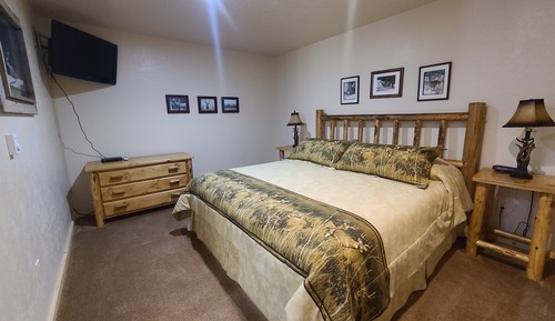 Room, 1 King Bed with Sofa bed