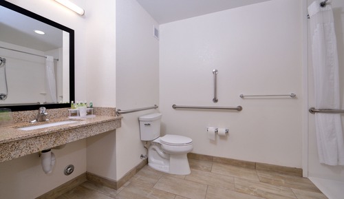 Suite, 1 King Bed, Roll-in Shower (Roll-In Shower)