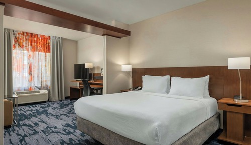 Studio Suite, 1 King Bed with Sofa bed