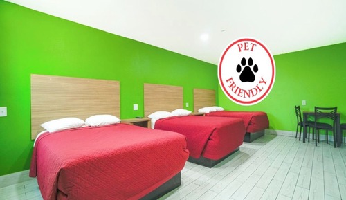 Room, Multiple Beds, Kitchenette