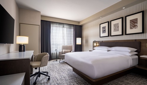 Room, 1 King Bed (Hearing Accessible)