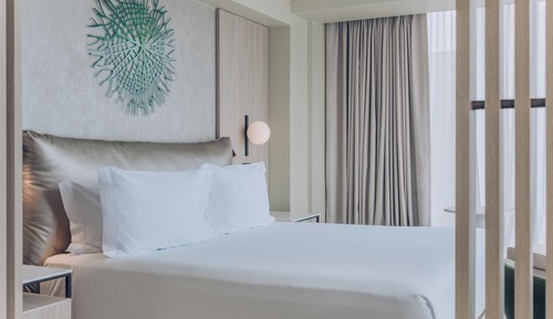 Room, 1 King Bed, City View (Estandar)