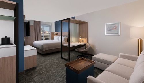 Suite, 1 King Bed with Sofa bed