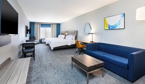 Suite, 1 King Bed with Sofa bed