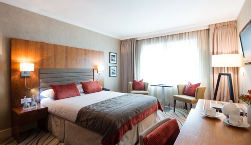 Executive Double or Twin Room