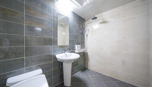 Room (VIP-duplex room (rooftop/spacious roo)