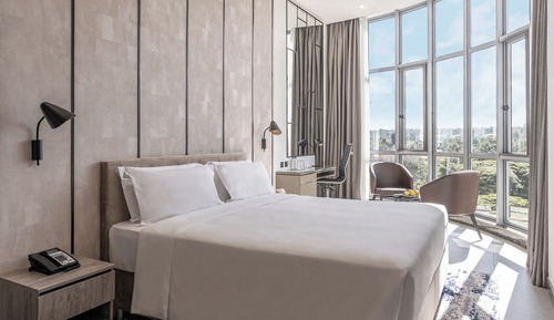 Deluxe 1 King Bed