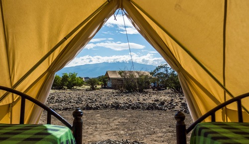 Basic Tent