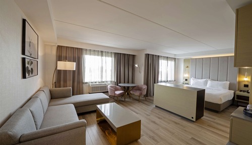 Junior Studio, 1 King Bed