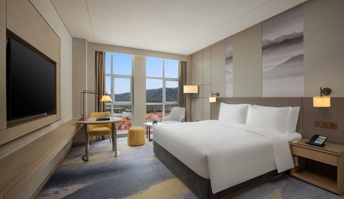 Standard Room, 1 King Bed, Mountain View