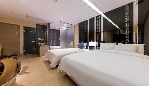 Room (VIP Twin (with styler twin bed air pu)