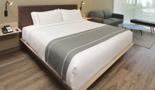 Superior Room, 1 King Bed with Sofa bed