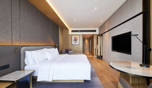 Room, 1 King Bed, City View
