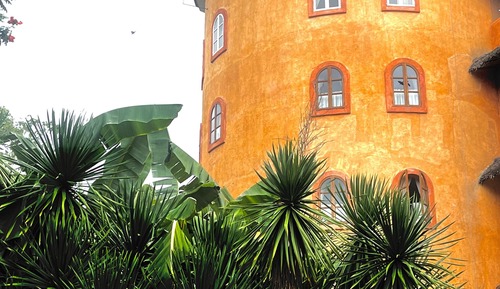 Casa Standard