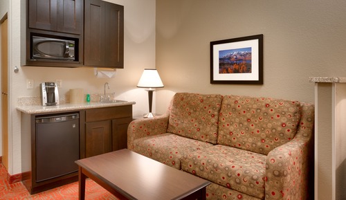 Suite, 1 King Bed with Sofa bed