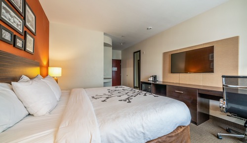 Room, 1 King Bed, Accessible, Non Smoking